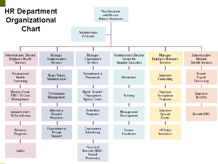 HR Department Organizational Chart 