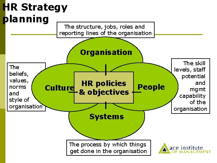 HR Strategy planning The structure, jobs, roles and reporting lines of the organisation Organisation