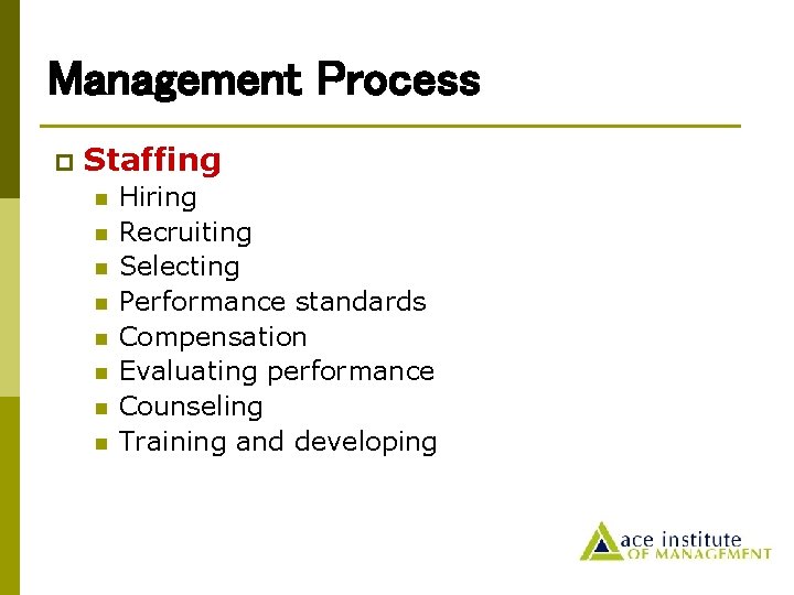 Management Process p Staffing n n n n Hiring Recruiting Selecting Performance standards Compensation