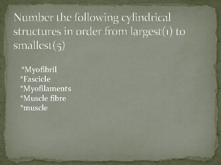 Number the following cylindrical structures in order from largest(1) to smallest(5) *Myofibril *Fascicle *Myofilaments