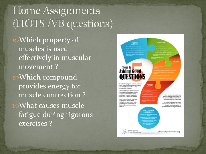 Home Assignments (HOTS /VB questions) Which property of muscles is used effectively in muscular