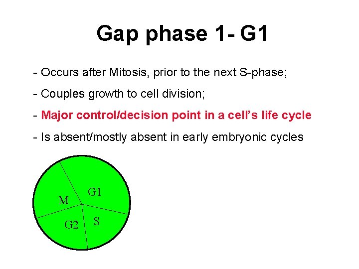 Gap phase 1 - G 1 - Occurs after Mitosis, prior to the next