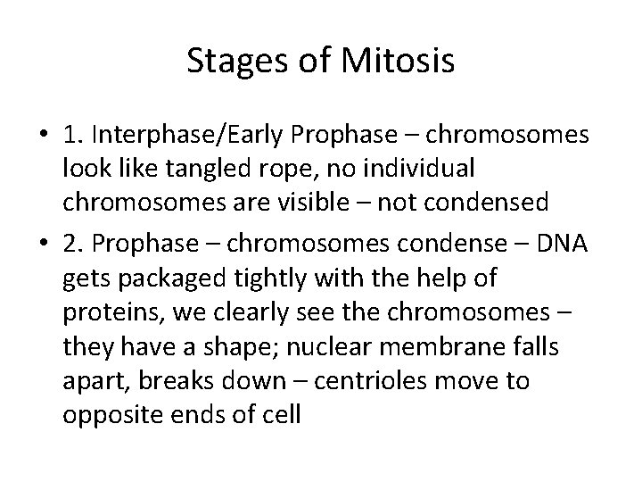 Stages of Mitosis • 1. Interphase/Early Prophase – chromosomes look like tangled rope, no