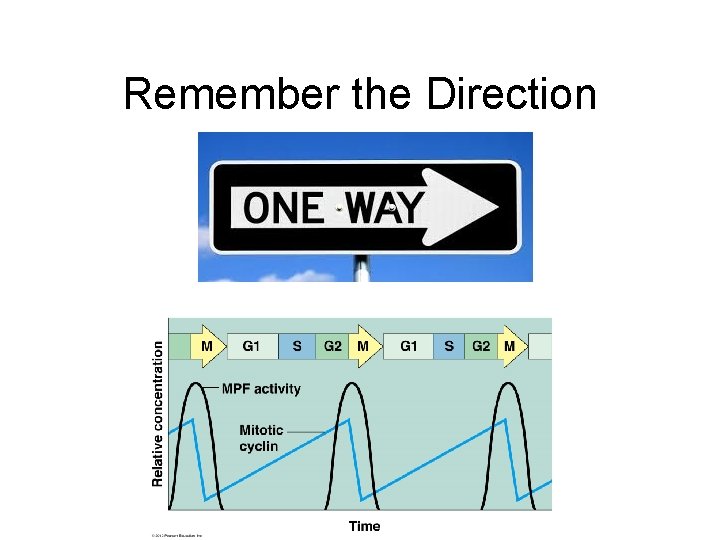 Remember the Direction 