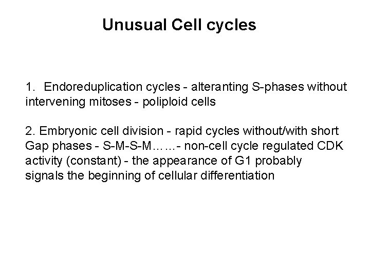Unusual Cell cycles 1. Endoreduplication cycles - alteranting S-phases without intervening mitoses - poliploid
