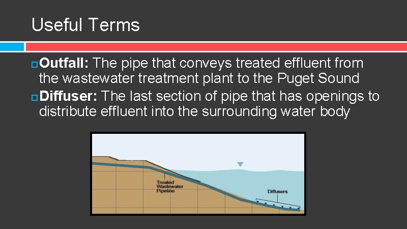 Useful Terms Outfall: The pipe that conveys treated effluent from the wastewater treatment plant