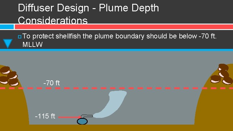 Diffuser Design - Plume Depth Considerations To protect shellfish the plume boundary should be