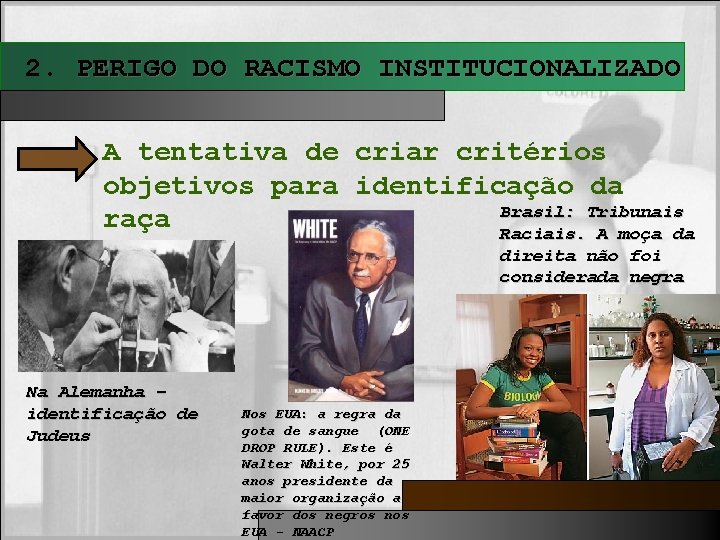 2. PERIGO DO RACISMO INSTITUCIONALIZADO A tentativa de criar critérios objetivos para identificação da