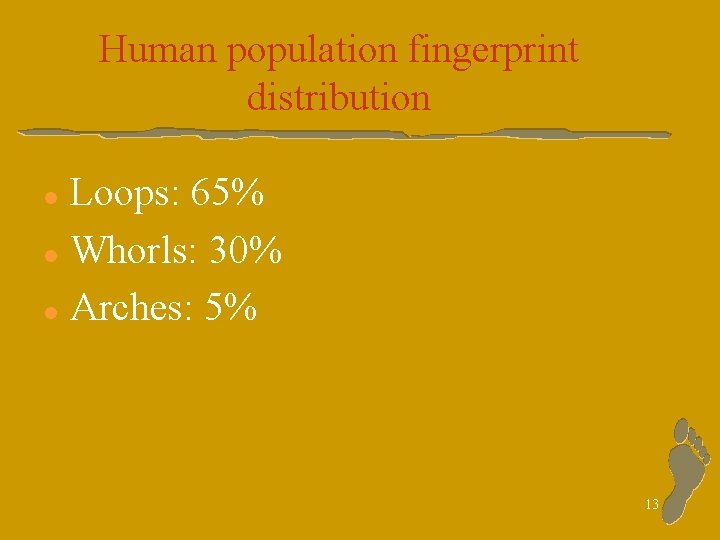 Human population fingerprint distribution Loops: 65% l Whorls: 30% l Arches: 5% l 13