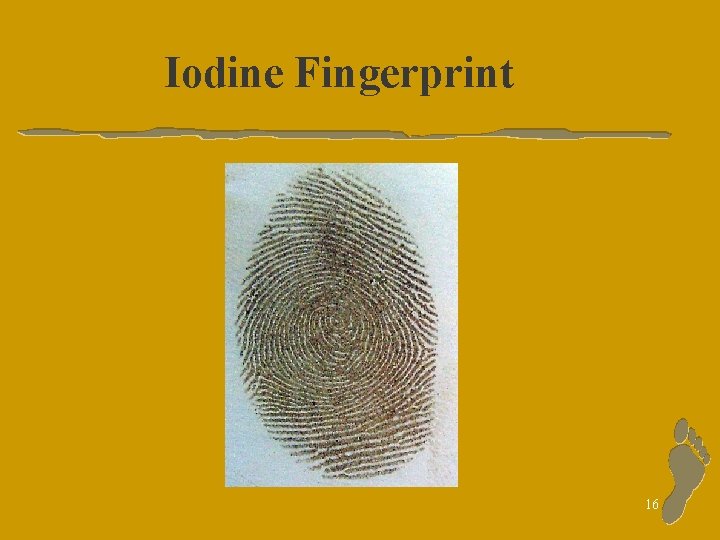 Iodine Fingerprint 16 
