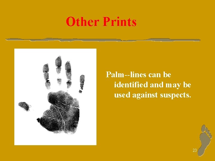 Other Prints Palm--lines can be identified and may be used against suspects. 23 