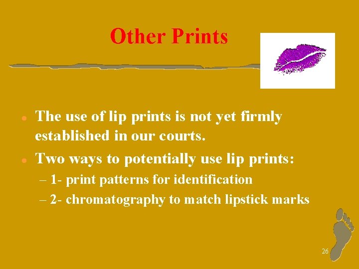Other Prints l l The use of lip prints is not yet firmly established