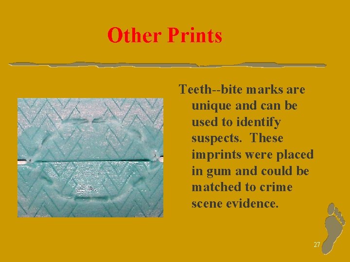 Other Prints Teeth--bite marks are unique and can be used to identify suspects. These