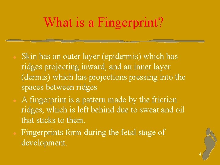 What is a Fingerprint? l l l Skin has an outer layer (epidermis) which