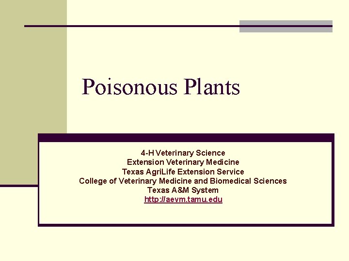 Poisonous Plants 4 -H Veterinary Science Extension Veterinary Medicine Texas Agri. Life Extension Service