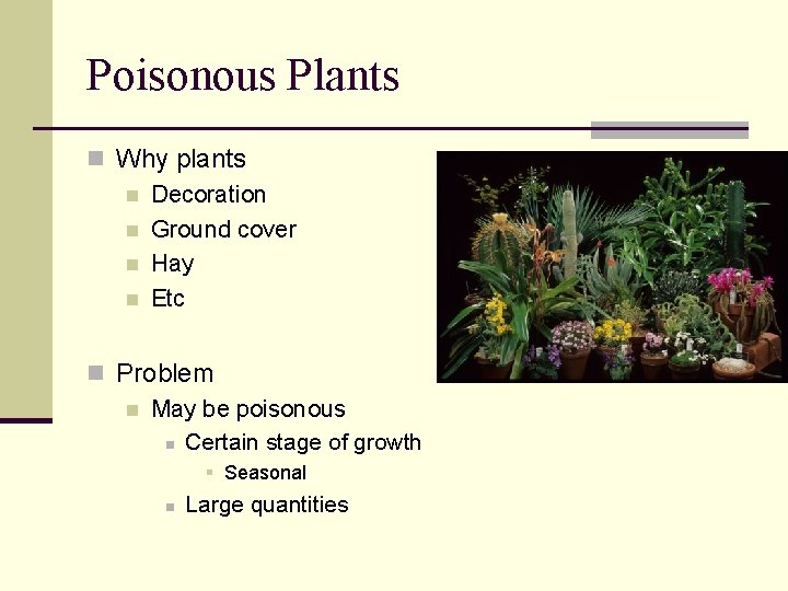 Poisonous Plants n Why plants n Decoration n Ground cover n Hay n Etc