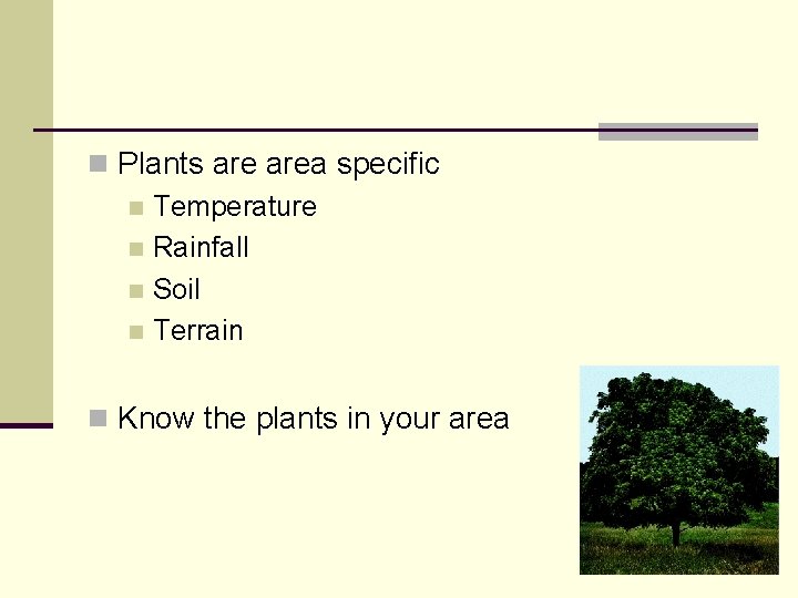 n Plants area specific n Temperature n Rainfall n Soil n Terrain n Know