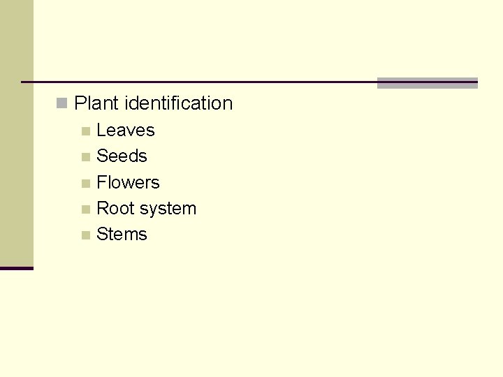 n Plant identification n Leaves n Seeds n Flowers n Root system n Stems