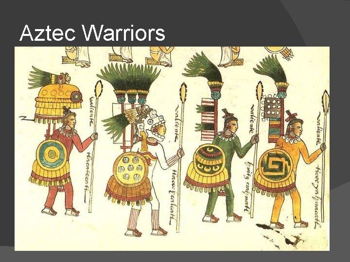 Aztec Warriors 