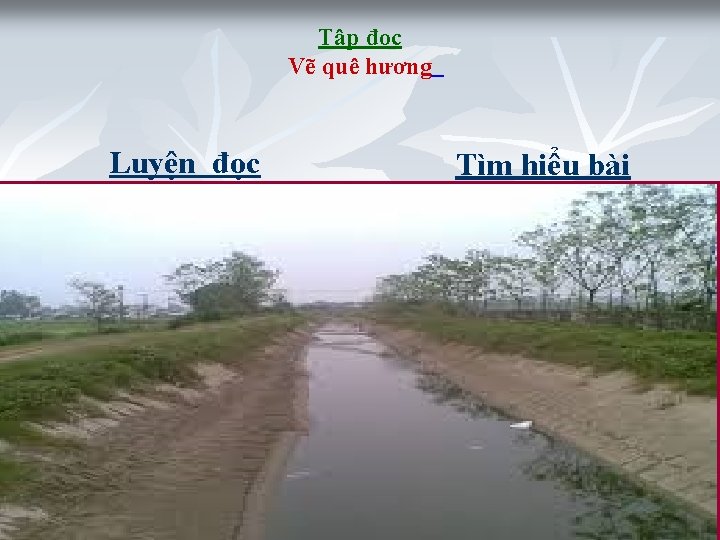 Tập đọc Vẽ quê hương Luyện đọc * Từ khó: Tìm hiểu bài *