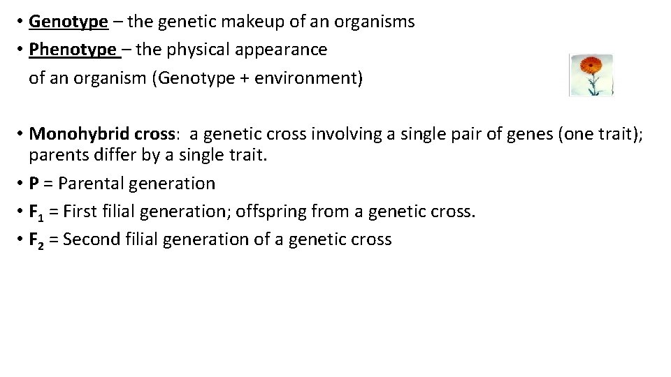  • Genotype – the genetic makeup of an organisms • Phenotype – the