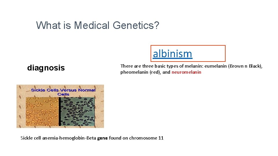 What is Medical Genetics? albinism diagnosis There are three basic types of melanin: eumelanin