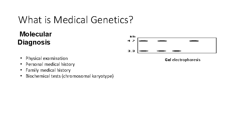 What is Medical Genetics? Molecular Diagnosis • • Physical examination Personal medical history Family