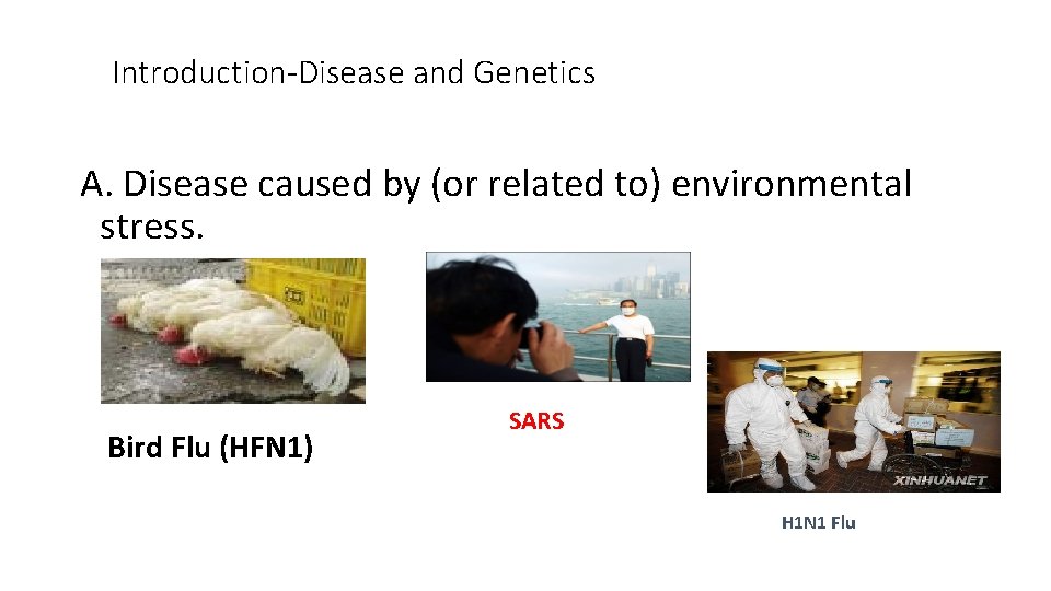 Introduction-Disease and Genetics A. Disease caused by (or related to) environmental stress. Bird Flu