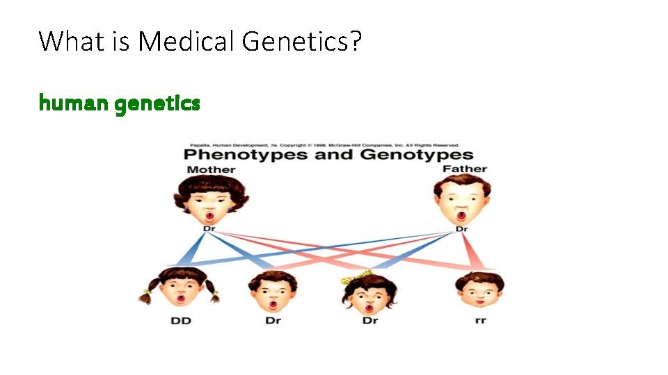 What is Medical Genetics? human genetics 