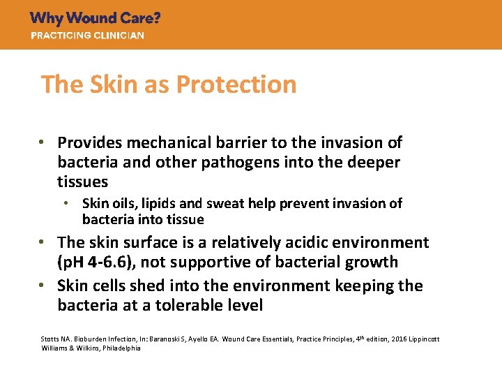 The Skin as Protection • Provides mechanical barrier to the invasion of bacteria and