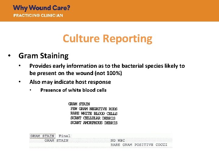 Culture Reporting • Gram Staining • • Provides early information as to the bacterial