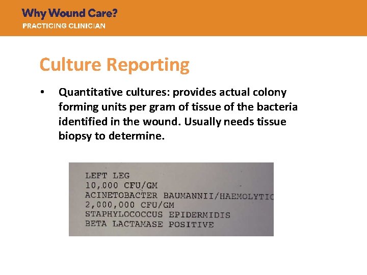 Culture Reporting • Quantitative cultures: provides actual colony forming units per gram of tissue