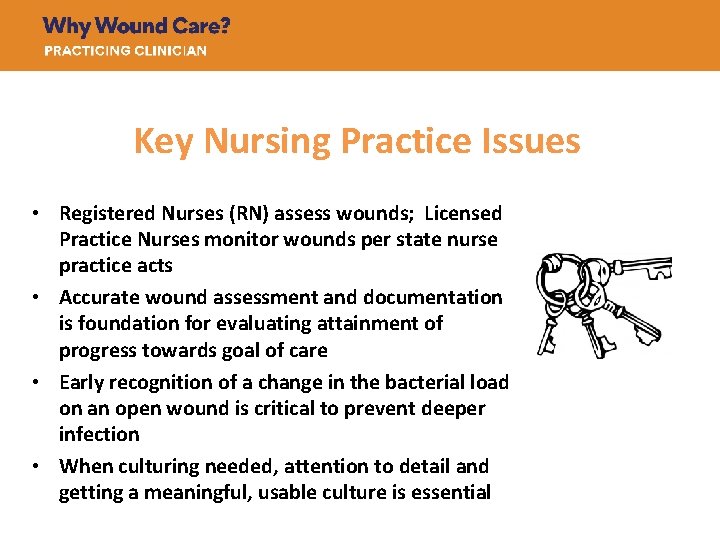 Key Nursing Practice Issues • Registered Nurses (RN) assess wounds; Licensed Practice Nurses monitor