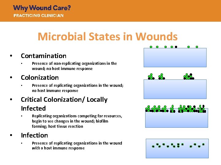 Microbial States in Wounds • Contamination • • Colonization • • Presence of replicating