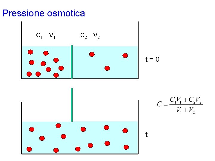 Pressione osmotica C 1 V 1 C 2 V 2 t=0 t 