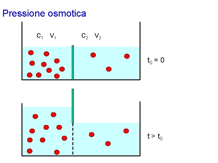 Pressione osmotica C 1 V 1 C 2 V 2 t 0 = 0