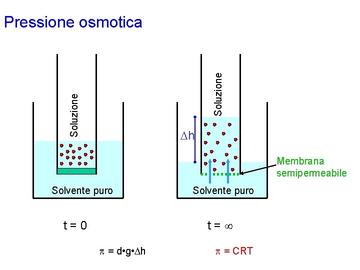 Soluzione Pressione osmotica Dh Membrana semipermeabile Solvente puro t= t=0 p = d •