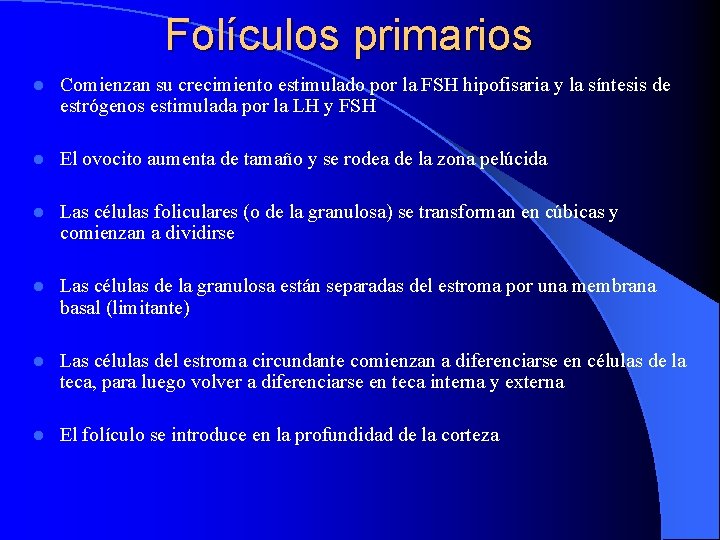 Folículos primarios l Comienzan su crecimiento estimulado por la FSH hipofisaria y la síntesis