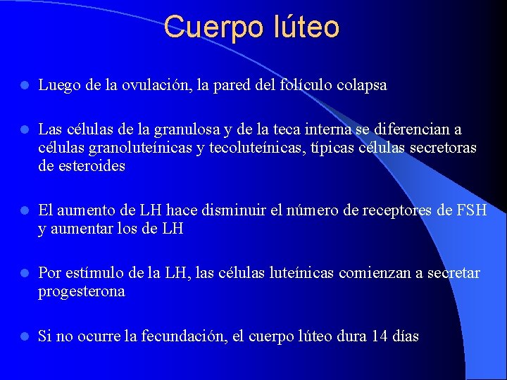 Cuerpo lúteo l Luego de la ovulación, la pared del folículo colapsa l Las