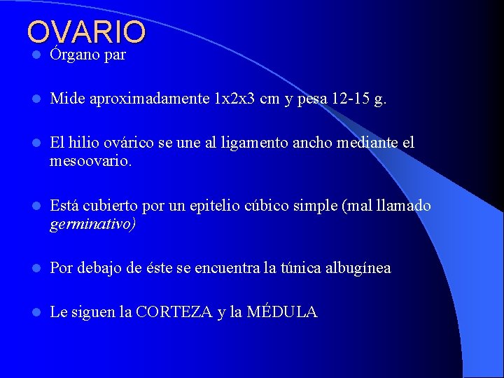 OVARIO l Órgano par l Mide aproximadamente 1 x 2 x 3 cm y