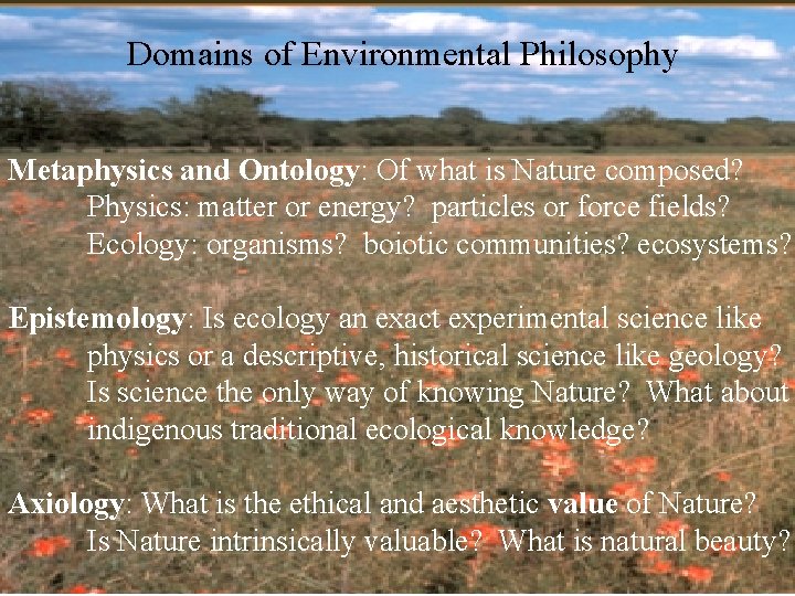 Domains of Environmental Philosophy Metaphysics and Ontology: Of what is Nature composed? Physics: matter