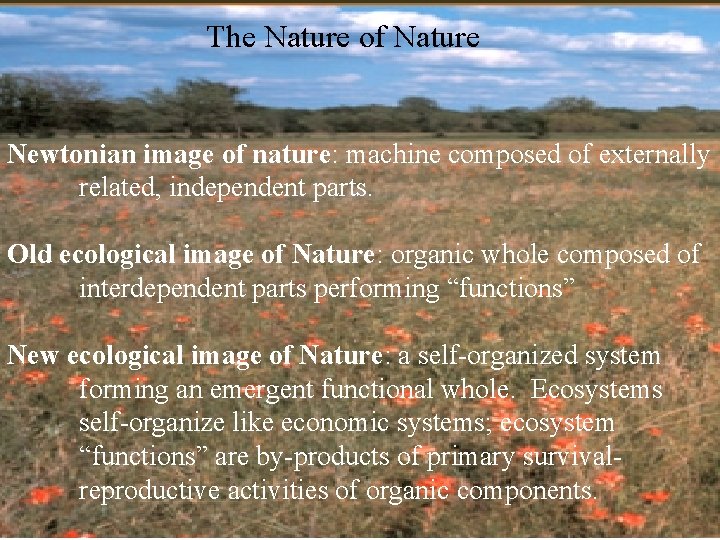 The Nature of Nature Newtonian image of nature: machine composed of externally related, independent