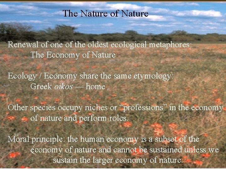 The Nature of Nature Renewal of one of the oldest ecological metaphores: The Economy