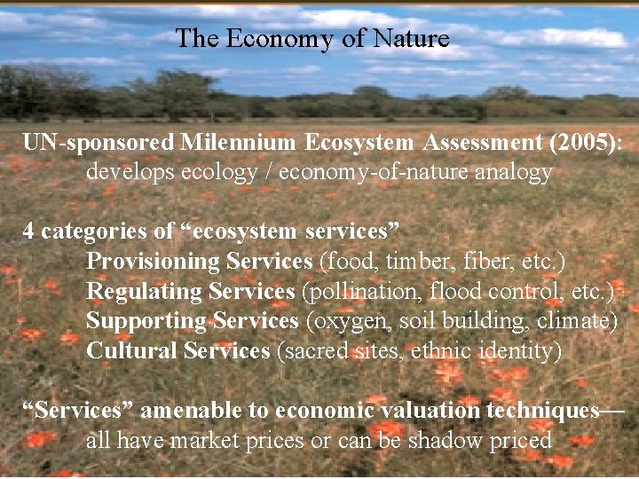 The Economy of Nature UN-sponsored Milennium Ecosystem Assessment (2005): develops ecology / economy-of-nature analogy