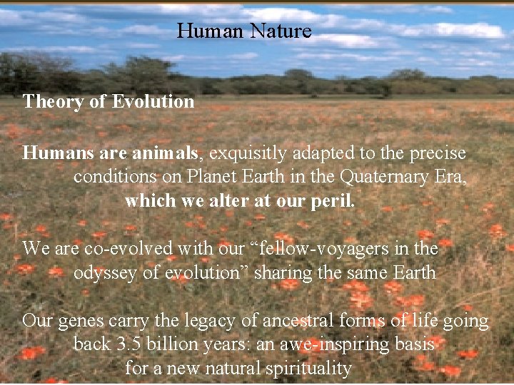 Human Nature Theory of Evolution Humans are animals, exquisitly adapted to the precise conditions