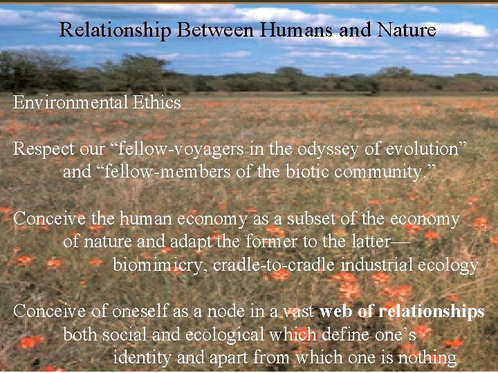 Relationship Between Humans and Nature Environmental Ethics Respect our “fellow-voyagers in the odyssey of