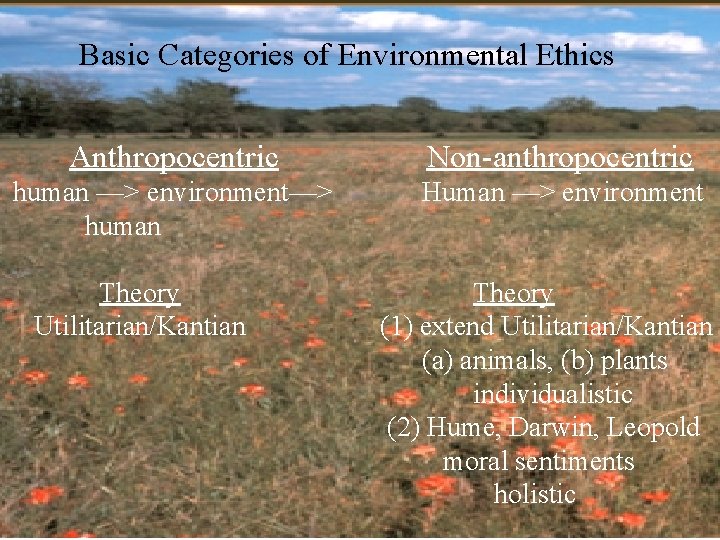 Basic Categories of Environmental Ethics Anthropocentric Non-anthropocentric human —> environment—> human Human —> environment