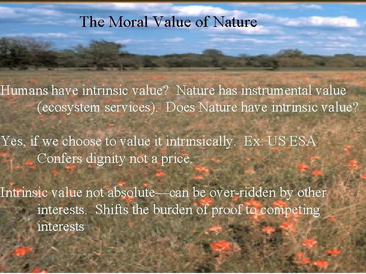 The Moral Value of Nature Humans have intrinsic value? Nature has instrumental value (ecosystem