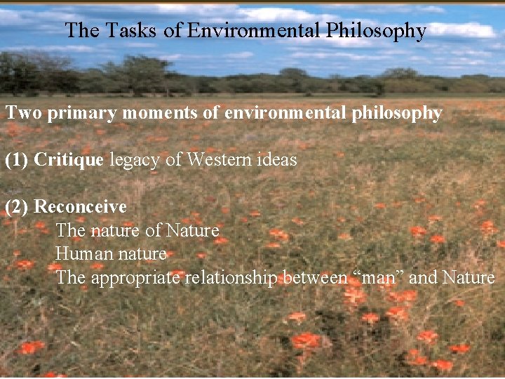 The Tasks of Environmental Philosophy Two primary moments of environmental philosophy (1) Critique legacy