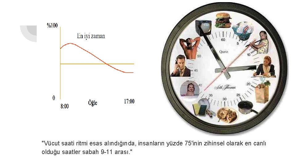 "Vücut saati ritmi esas alındığında, insanların yüzde 75'inin zihinsel olarak en canlı olduğu saatler